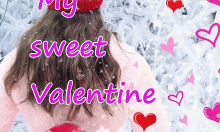 Segnalazione “My sweet Valentine – The Deceitful Series “di Ilari C.